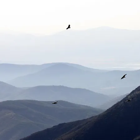 La Boticaria Descargamaría