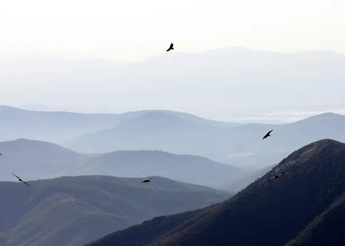 La Boticaria Descargamaria