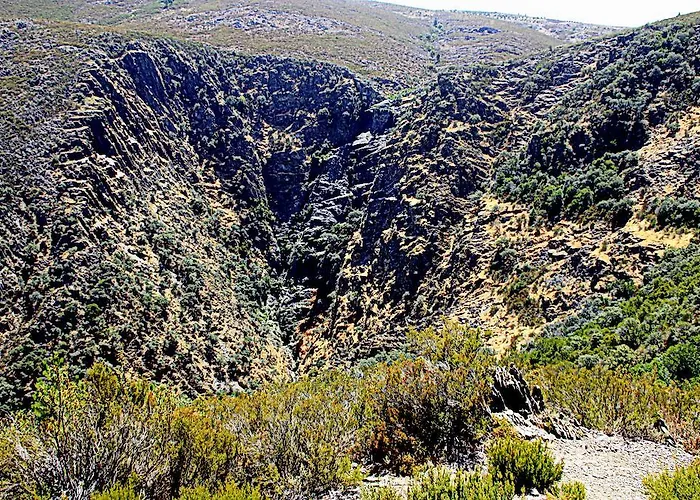 La Boticaria Descargamaria