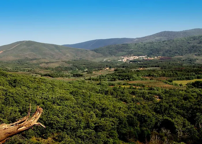 Διαμέρισμα La Boticaria Descargamaría